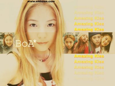 BoA wallpaper 14
Parole chiave: boa